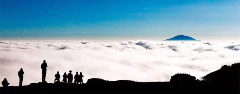 Kilimanjaro