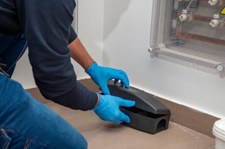 Say Goodbye to Unwanted Guests: Expert Exterminators in Chelmsford 